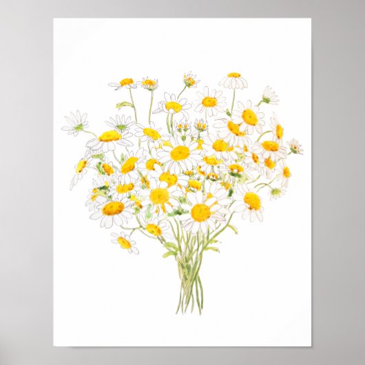 witte Margaret daisy waterverf en inktbouquet Poster (Voorkant)