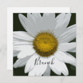 Witte Margriet Bloem Post-Huwelijk Brunch Kaart (Voorkant / Achterkant)