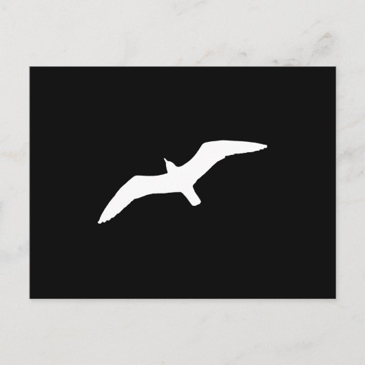 Witte meeuw briefkaart (Voorkant)
