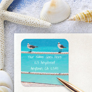 Witte meeuw strand vogels foto retouradres vierkante sticker