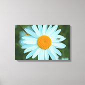 witte melkbloemen afbeelding. canvas afdruk (Voorkant)