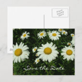witte melkbloemen, met uitzondering van de datum aankondigingskaart (Voorkant / Achterkant)