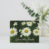witte melkbloemen, met uitzondering van de datum aankondigingskaart (Staand voorkant)