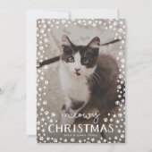 Witte Meowy Kerstmis Pet Lover Vakantie Fotokaart Feestdagenkaart (Voorkant)