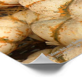 Witte mini-pompoen met Oranje en groene openingen Poster (Hoek)