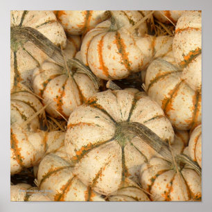 Witte mini-pompoen met Oranje en groene openingen Poster