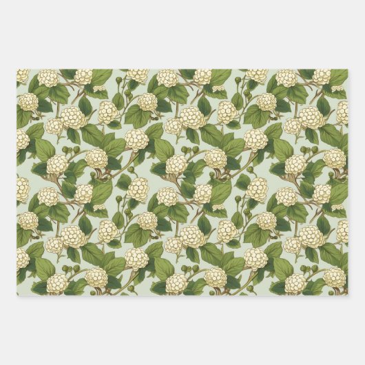 Witte moerbei inpakpapier vel (Voorkant)