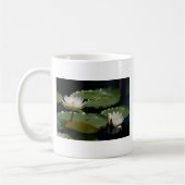 Witte Mok (Links)