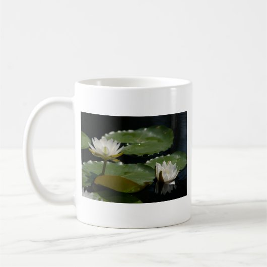 Witte Mok (Links)