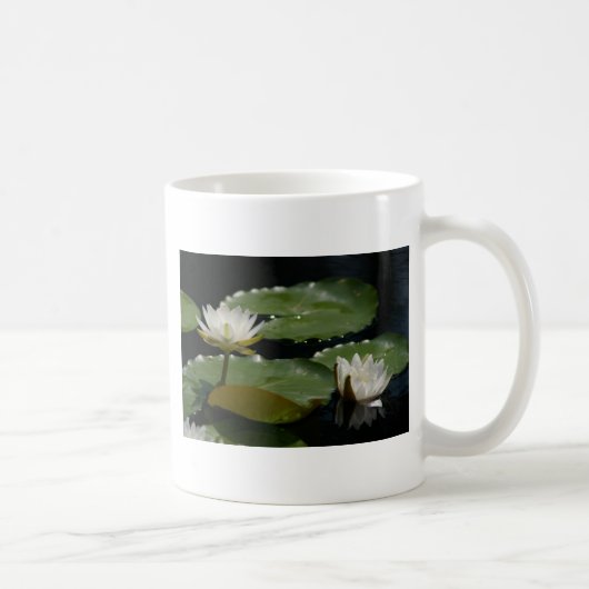 Witte Mok (Rechts)