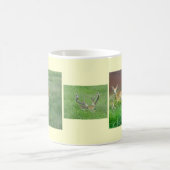 Witte Mok voor de verkoop van de Deer (Center)