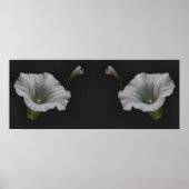 Witte Morning Glory Bloemspiegel Abstract Poster (Voorkant)