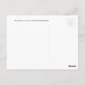 Witte Morpho-vlinder op blad Briefkaart (Achterkant)