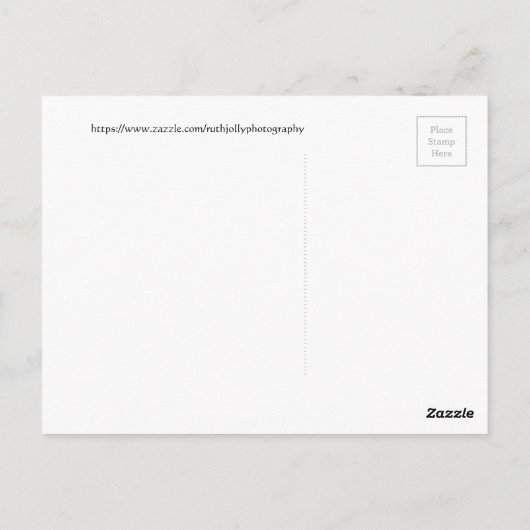 Witte Morpho-vlinder op blad Briefkaart (Achterkant)