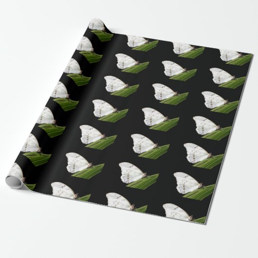 Witte Morpho-vlinder op blad Cadeaupapier (Uitgerold)