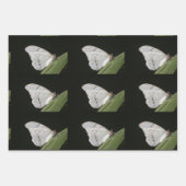 Witte Morpho-vlinder op blad Inpakpapier Vel (Voorkant 3)