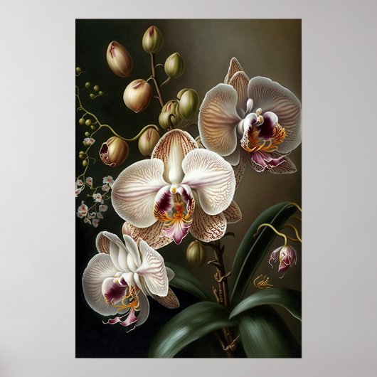 Witte mot Orchidee Bloem Art Print Poster (Voorkant)