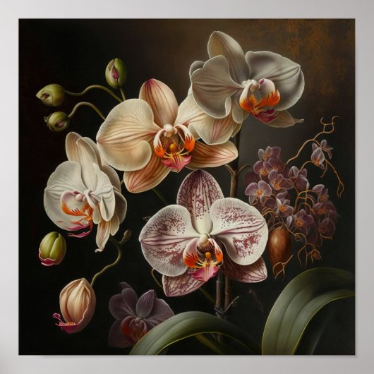 Witte mot Orchidee Bloemen Art Print Poster (Voorkant)