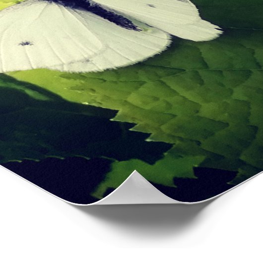 Witte mot. poster (Hoek)