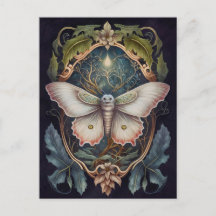 Witte Moth Briefkaart