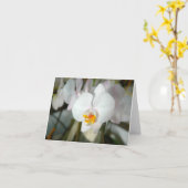 Witte Moth Orkidee Kaart (Gele Bloem)