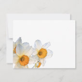 Witte narcis foto in liefdevolle herinnering Kaart (Achterkant)