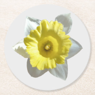 Witte Narcis Papier Onderzetter