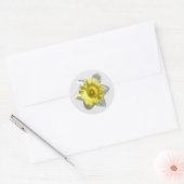 Witte Narcis Stickers (Envelop)