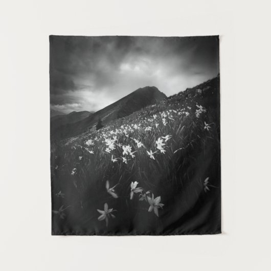 Witte narcissen bloemen in het donker wandkleed (Voorkant)