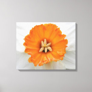 Witte Narcissen Canvasprint Canvas Afdruk