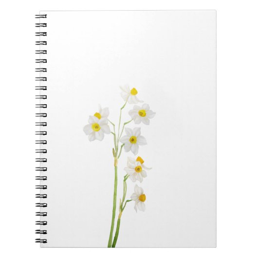 witte narcissen waterverf bloem notitieboek (Voorkant)