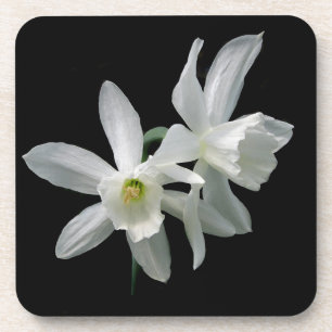 Witte Narcissus Onderzetter