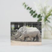 witte neushoorn briefkaart (Staand voorkant)