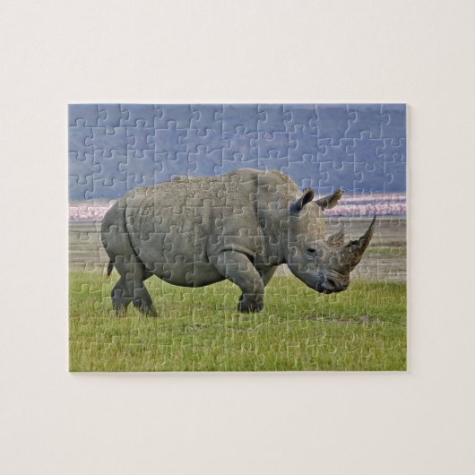 Witte Neushoorn en verre Pinke Flamingo's, Legpuzzel (Horizontaal)