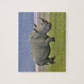 Witte Neushoorn en verre Pinke Flamingo's, Legpuzzel (Verticaal)