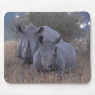 witte neushoorn muismat