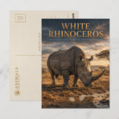 Witte Neushoorn Savanne DIEREN Briefkaart (Voorkant / Achterkant)