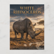 Witte Neushoorn Savanne DIEREN