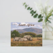 Witte neushoorns Hluhluwe-Mifolozi Park Zuid-Afrik Briefkaart (Staand voorkant)