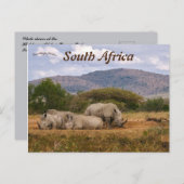 Witte neushoorns Hluhluwe-Mifolozi Park Zuid-Afrik Briefkaart (Voorkant / Achterkant)
