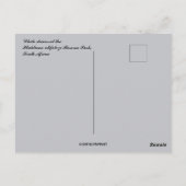 Witte neushoorns Hluhluwe-Mifolozi Park Zuid-Afrik Briefkaart (Achterkant)