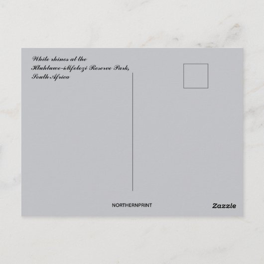Witte neushoorns Hluhluwe-Mifolozi Park Zuid-Afrik Briefkaart (Achterkant)