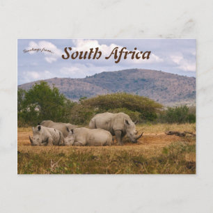 Witte neushoorns Hluhluwe-Mifolozi Park Zuid-Afrik Briefkaart