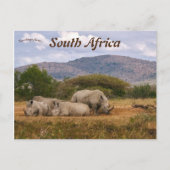 Witte neushoorns Hluhluwe-Mifolozi Park Zuid-Afrik Briefkaart (Voorkant)