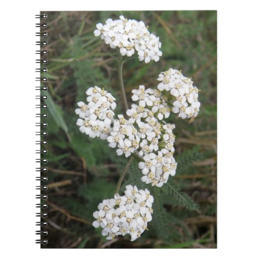 Witte Notitieboek van wilde bloemen (Voorkant)