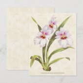 Witte Odontoglossum Orchidee  Botanisch Briefkaart (Voorkant / Achterkant)