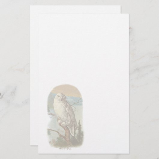 -witte olietestbakkerij briefpapier (Voorkant / Achterkant)