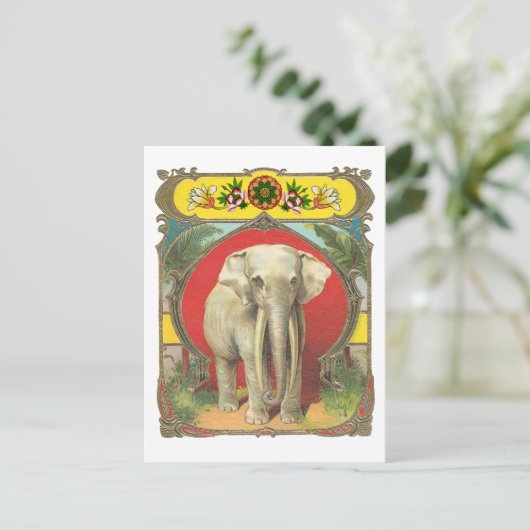 Witte olifant briefkaart (Staand voorkant)