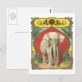 Witte olifant briefkaart (Voorkant / Achterkant)