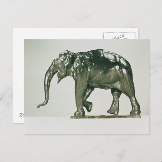 Witte olifant briefkaart (Voorkant / Achterkant)